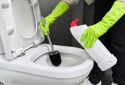 [freepicdownloader.com]-housewife-washing-disinfecting-toilet-woman-gloves-with-detergent-brush-housekeeping-cleanliness-home-household-duties-service-people-concept-normal