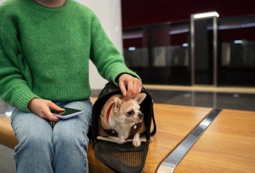 woman-carrying-her-pet-subway_23-2150204994